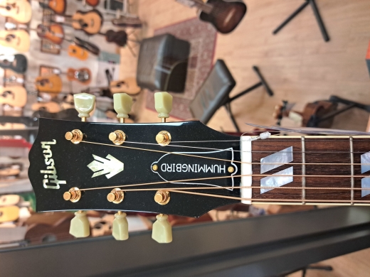 Store Special Product - Gibson Hummingbird